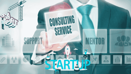 Expert Startup Consultation & Strategy Development